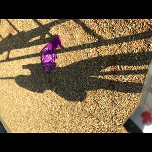 Meet your Posher, Shannon